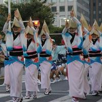 Awa Odori dance