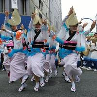 Awa Odori dance