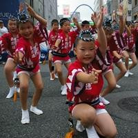 Awa Odori dance